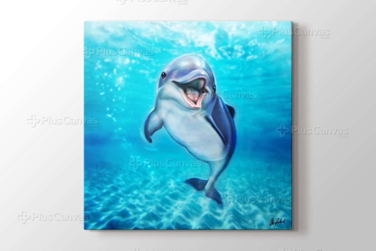 Kucuk Yunus Baligi Artofokan Kanvas Tablo Burada Pluscanvas