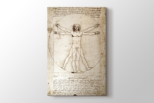 The Vitruvian Man 1498 görseli.