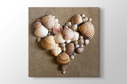 Heart Shaped Sea Shells görseli.