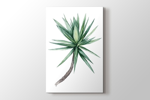 Watercolor Yucca Tree görseli.