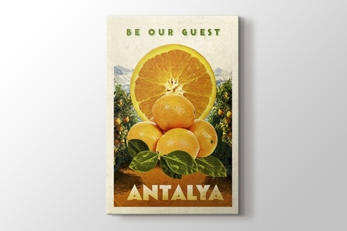 Antalya Portakal görseli.