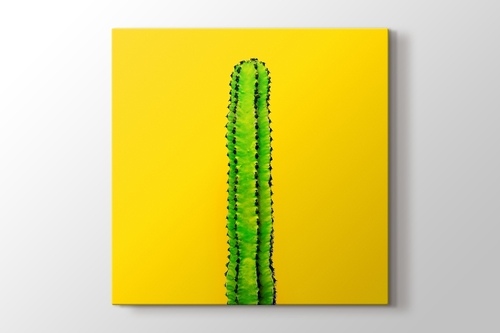 Green Cactus on Yellow görseli.