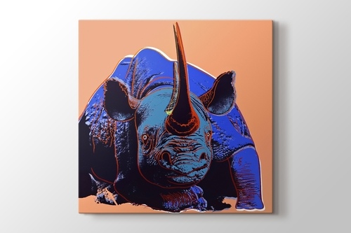 Rhinoceros görseli.