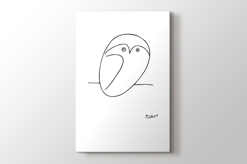 Owl görseli.