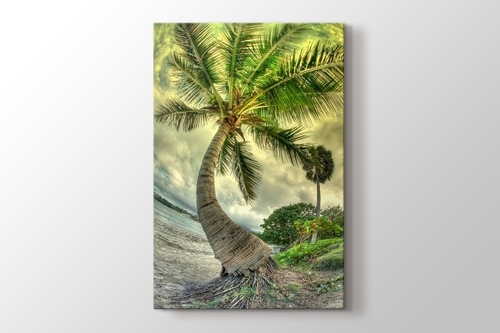 Palm on the Beach görseli.