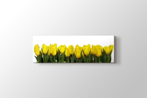 Yellow Tulips görseli.