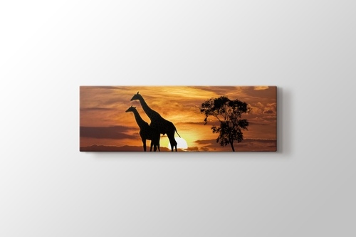 Giraffes and the Sunset görseli.