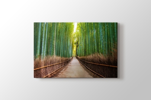 Bamboo Forest in Kyoto Japan görseli.