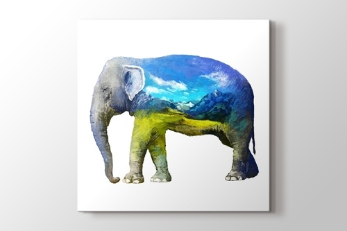 Elephant Nature görseli.