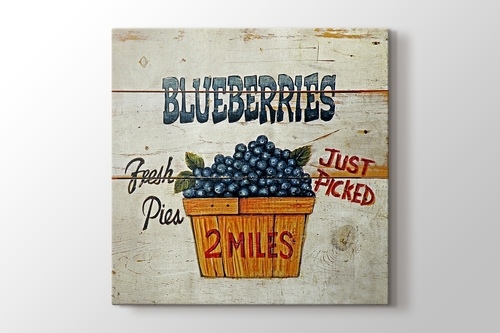 Blueberries görseli.