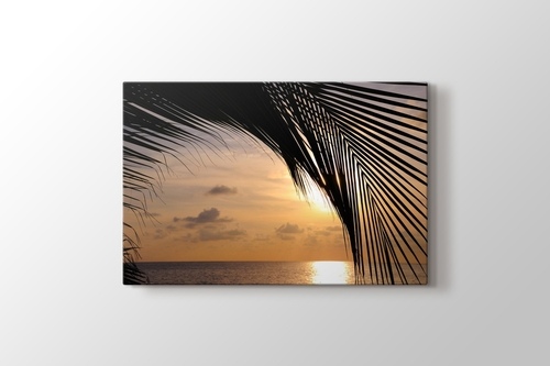 Sunset and a Palm Tree görseli.