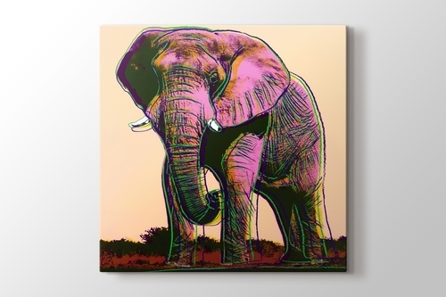 Elephant görseli.