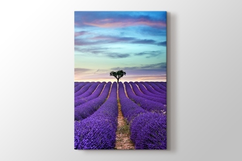 Lavender Field görseli.