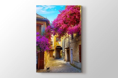 Erguvan ve Provence Sokakları görseli.