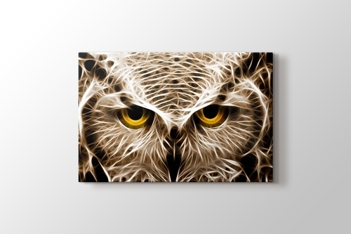 CloseUp Owl görseli.