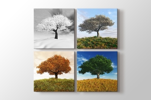 Four Seasons görseli.