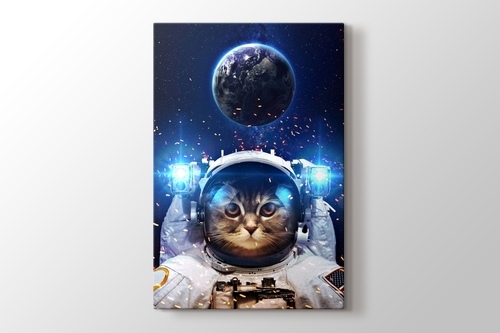 Beautiful Cat in Outer Space görseli.