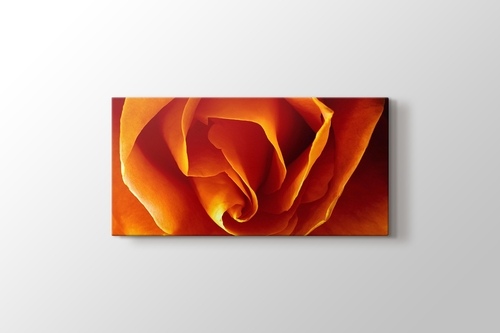 CloseUp Orange Rose görseli.