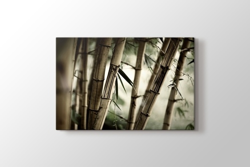 Bamboo görseli.