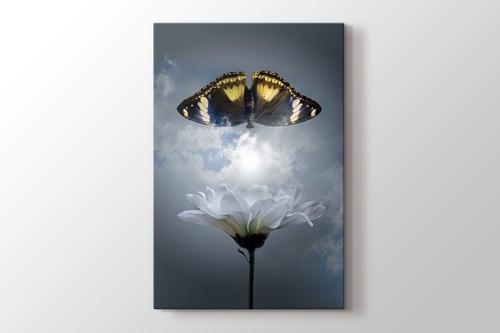 Butterfly - Kelebek görseli.