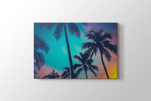 Palm Sky görseli.
