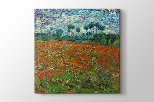Poppy Field görseli.