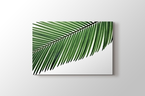 Palmiye Yaprağı görseli.