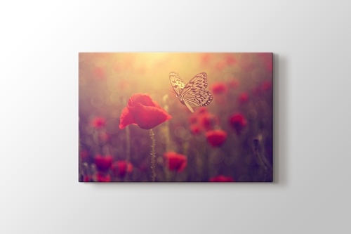 Poppy and Butterfly görseli.