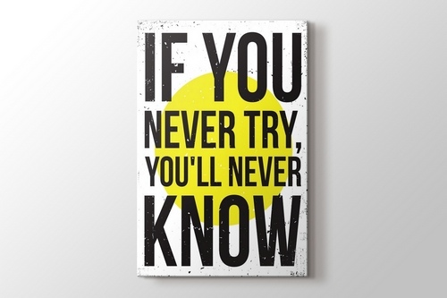 Never try never know. If you never try you'll never know. If you never try you will never know картинки. You never try you will never know Постер 40*50.