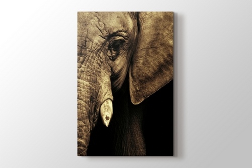 Elephant görseli.