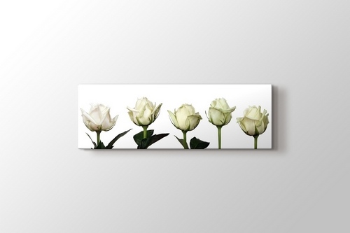 Beyaz Güller görseli.