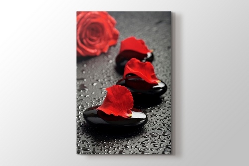 Black Pebbles and Red Rose görseli.