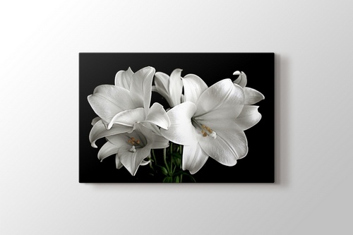 White Flower görseli.