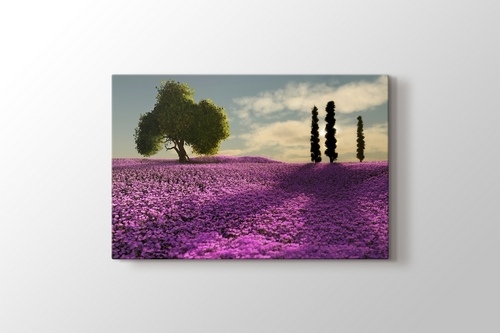 Trees and Lavender Field görseli.