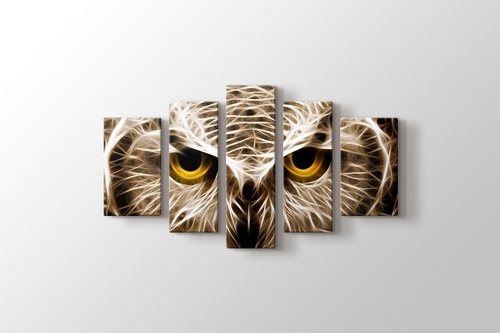 CloseUp Owl görseli.