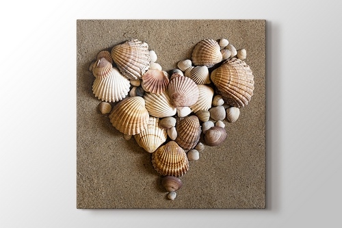 Heart Shaped Sea Shells görseli.