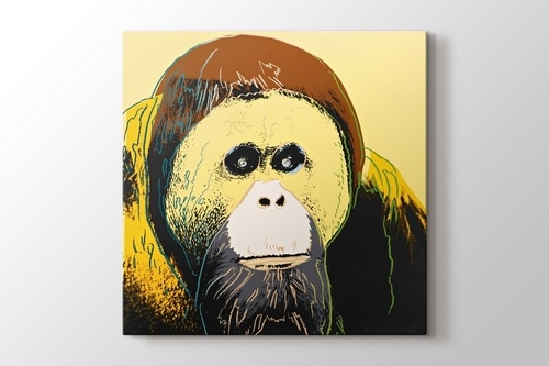 Orangutan görseli.