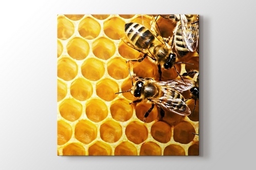Bees on Honeycomb görseli.