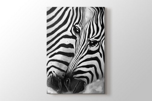 Zebra görseli.