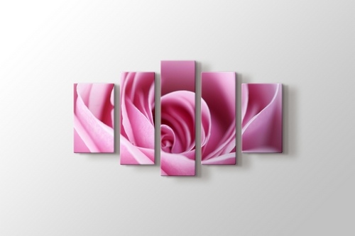 CloseUp Pink Rose görseli.