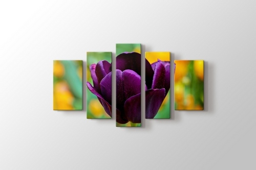 Purple Tulip görseli.