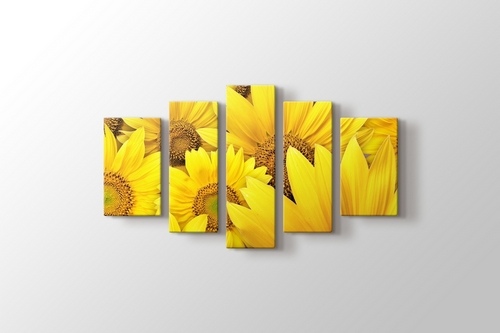 Sunflowers görseli.