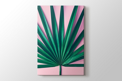 Palm Pink görseli.