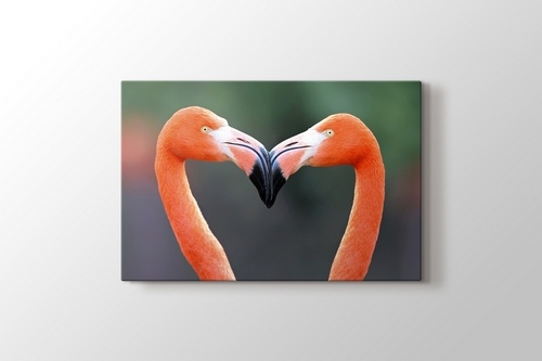 Flamingo Heart görseli.