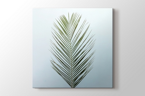 Palm Leaf görseli.