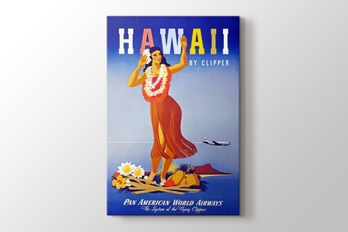 Hawaii Vintage Posteri görseli.