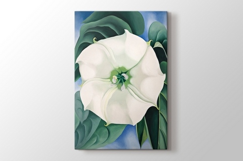 White Flower No1 görseli.