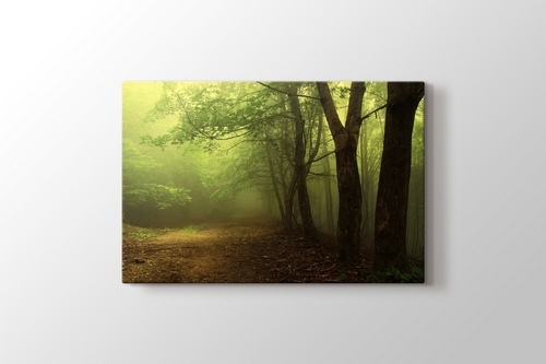 Green Forest With Fog görseli.