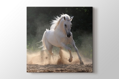 White Horse Run In Dust görseli.