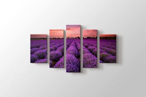 Stunning Landscape With Lavender Field At Sunset görseli.